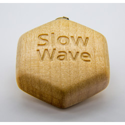 Slow~Wave-Magnetfeldgerät